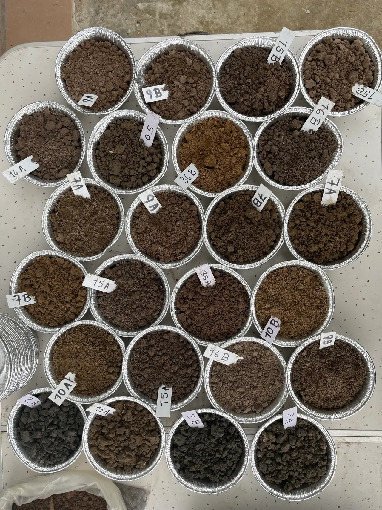 Dozens of labelled soil sample tins laid out in a tray, drying before laboratory analysis.